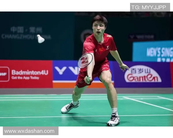 羽毛球盛宴：深入南京羽毛球队的训练与比赛节奏探秘