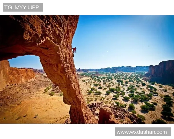 成都攀岩队在极限运动嘉年华中的精彩表现与状态分析MBA