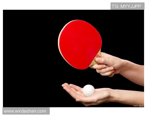 杭州乒乓球队力争上游引发热议探索力量变革的新路径与未来发展